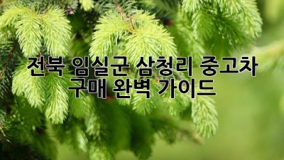 전북 임실군 삼청리 중고차 구매 완벽 가이드