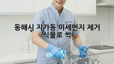 동해시 지가동 미세먼지 제거, 식물로 싹🌿
