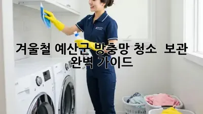 겨울철 예산군 방충망 청소 & 보관 완벽 가이드