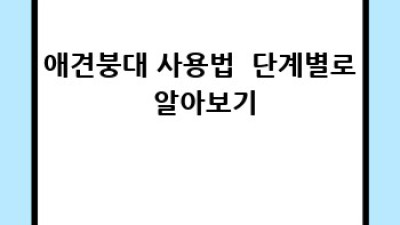 우리 강아지, 안전하게 지켜주는 애견붕대 완벽 가이드