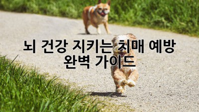 뇌 건강 지키는 치매 예방 완벽 가이드